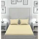Beige__SLEEPING OWLS
