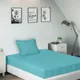 Blue__SLEEPING OWLS