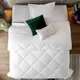 White__SLEEPING OWLS
