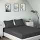 Grey__SLEEPING OWLS