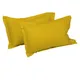 Mustard__SLEEPING OWLS