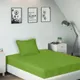 Parrot Green__SLEEPING OWLS