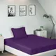 Purple__SLEEPING OWLS