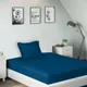 Teal__SLEEPING OWLS