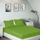 Green__SLEEPING OWLS