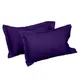 Purple__SLEEPING OWLS