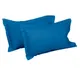 Blue__SLEEPING OWLS