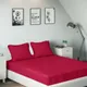 Pink__SLEEPING OWLS