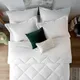 White__SLEEPING OWLS