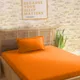Orange__SLEEPING OWLS