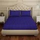 Blue__SLEEPING OWLS