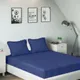 Blue__SLEEPING OWLS