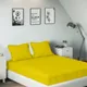 Yellow__SLEEPING OWLS