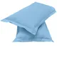 Blue__SLEEPING OWLS
