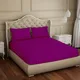Plum__SLEEPING OWLS