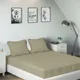 Beige__SLEEPING OWLS
