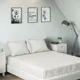 Ivory__SLEEPING OWLS
