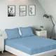 Blue__SLEEPING OWLS
