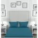 Teal__SLEEPING OWLS