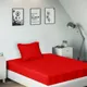 Red__SLEEPING OWLS