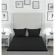 Black__SLEEPING OWLS
