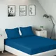 Blue__SLEEPING OWLS