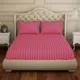 Rose__SLEEPING OWLS