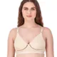 Gold__Shilpanjali