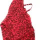 Red__Shilpanjali