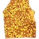 Yellow__Shilpanjali