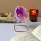 Pink__Homearte India
