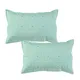 Sea Green__RJ PRODUCTS