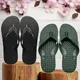 Blackk & Green__Vitoria