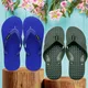Blue & Green__Vitoria