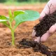 Pack of 3__Maq Urban Farms