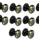 Pack of 10__Eye Berry