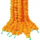 Orange__Apni market