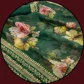 CATEGORY_ORGANZA_SAREE__Maasari