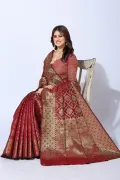 CATEGORY_DESIGNER_SAREE__KARTVYA SAREE