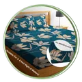 CATEGORY_PREMIUM_FITTED_BEDSHEET__Rising Star