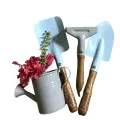 CATEGORY_TOOLS__Bio Blooms