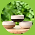 CATEGORY_BOWLS__Eha.eco