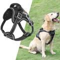 CATEGORY_PET_ACCESSORIES__Kimee