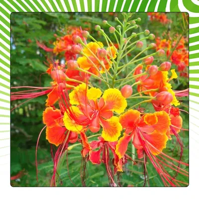 SHOP_BY_CATEGORY_undefined__undefined