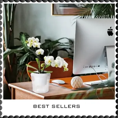 SHOP_BY_CATEGORIES_undefined__undefined